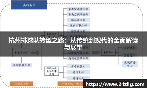 杭州排球队转型之路：从传统到现代的全面解读与展望